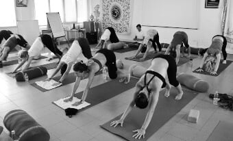 300 Hour Yoga Teacher Training in India 300 Hour Yoga Teacher Training