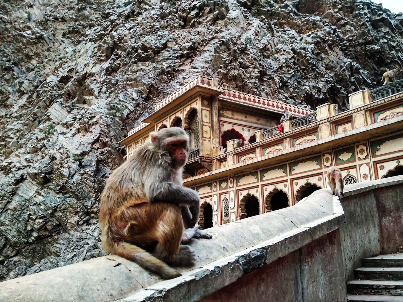 YogaMea Vacation in Rishikesh YogaMea Vacation in Rishikesh
