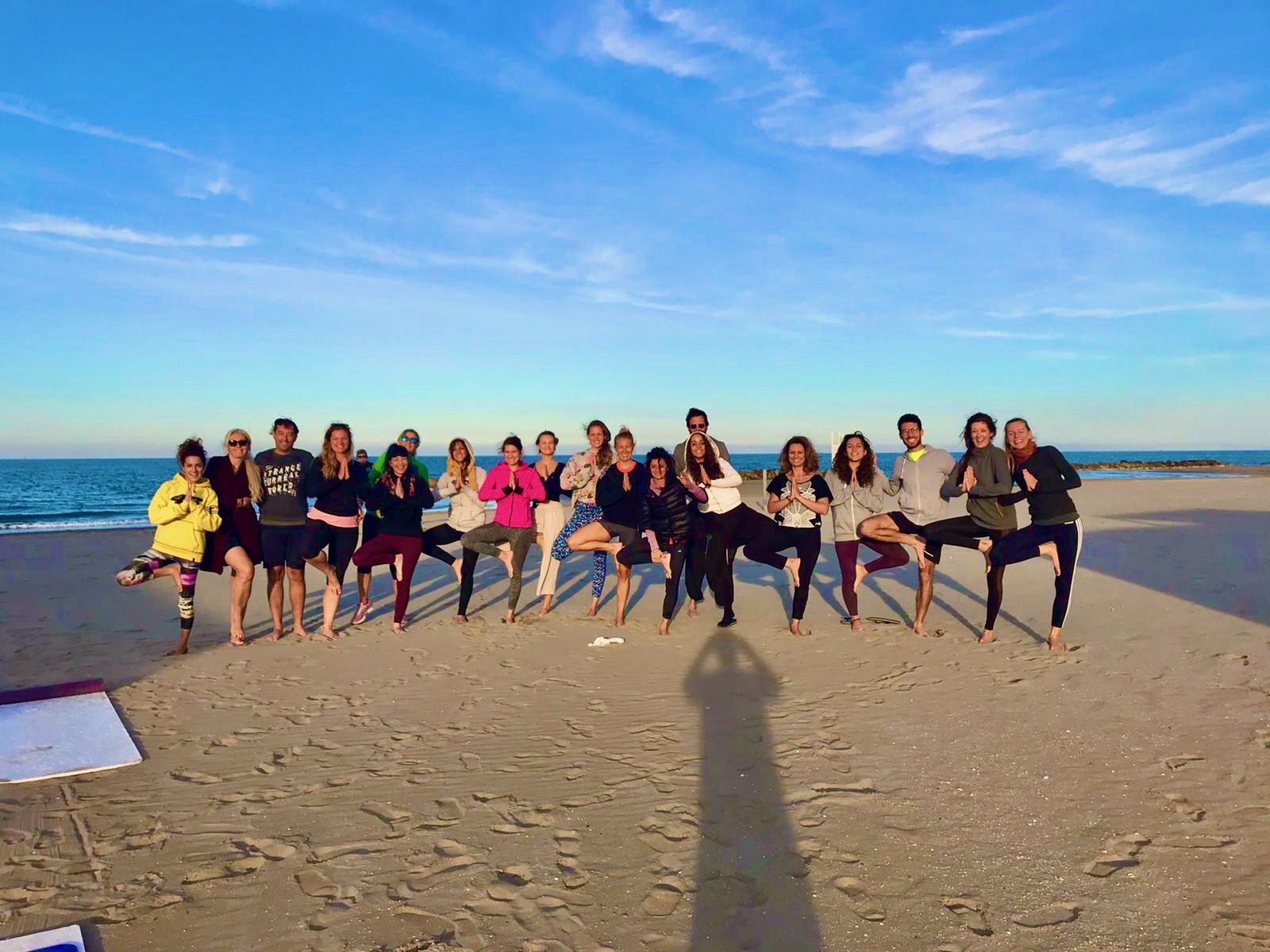 Yoga Teacher Training Yoga Teacher Training Activity